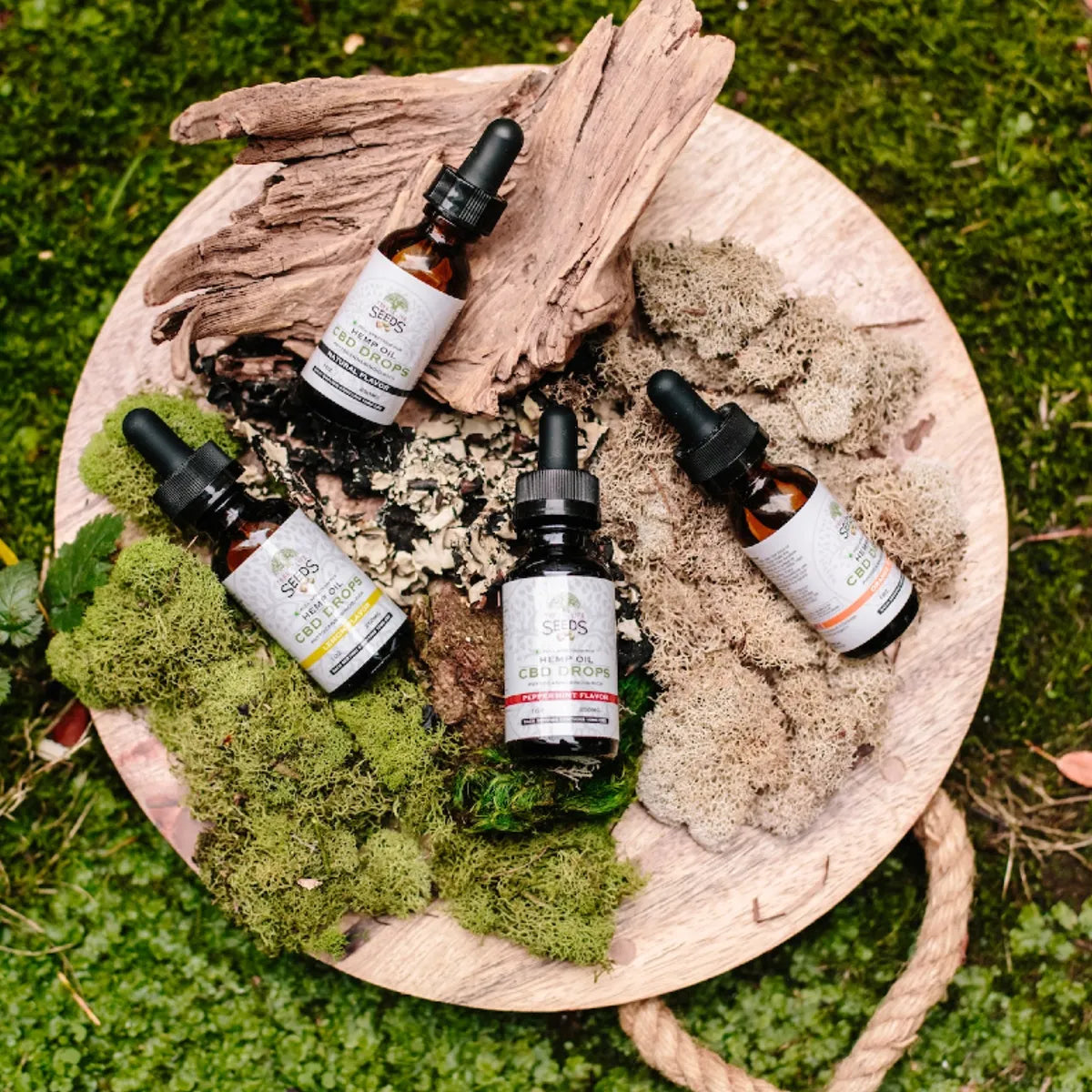 Exploring the Advantages of CBD: An Extensive Guide