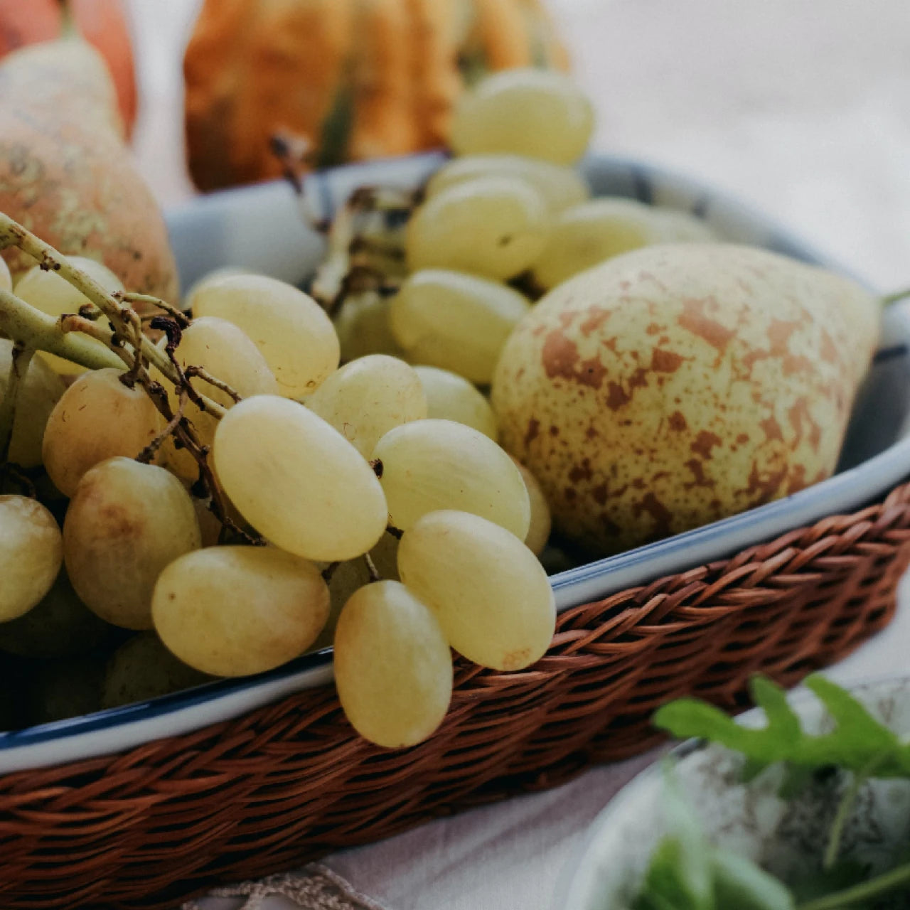 Nutricosmetics: The Beauty Secret Within
