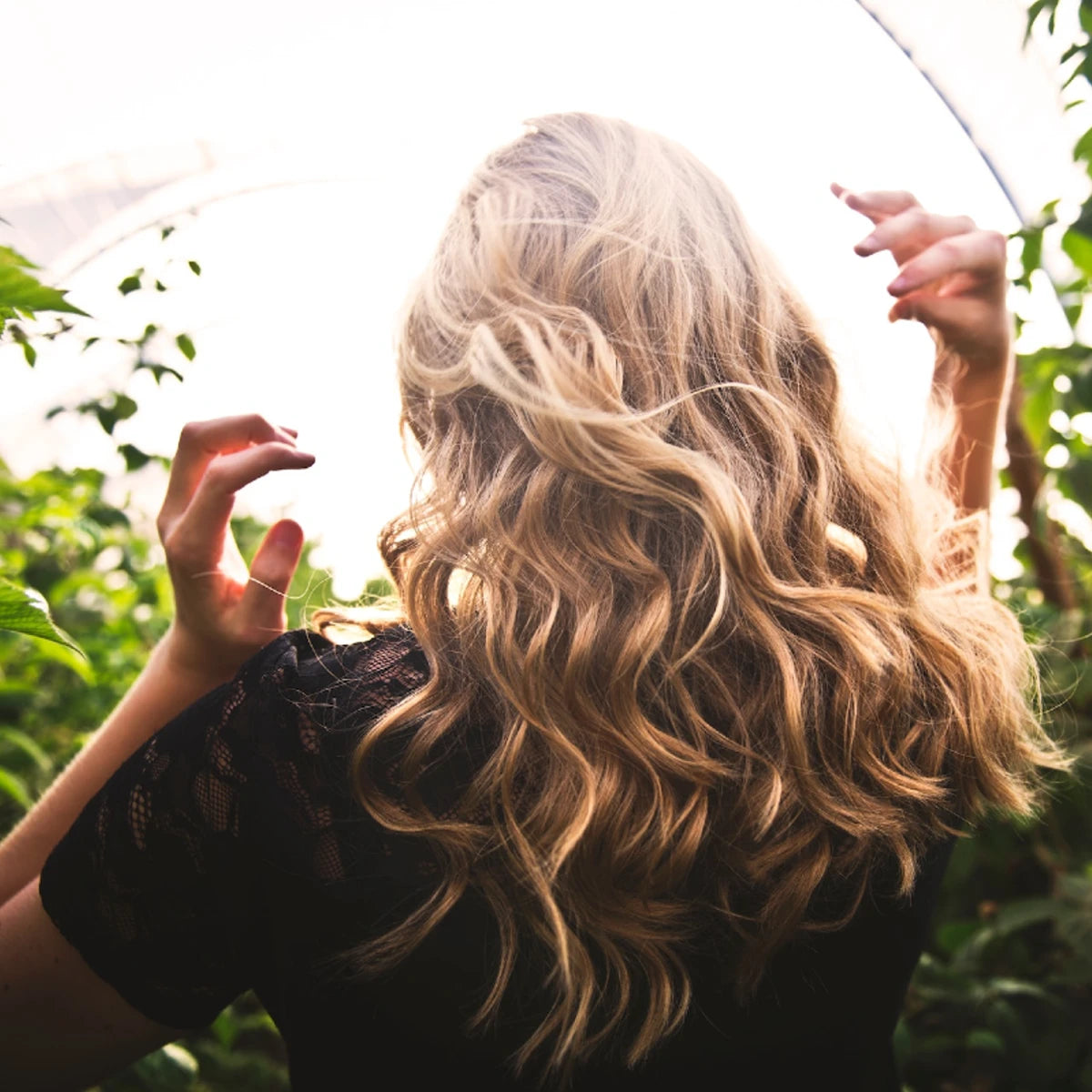 Scalp health and what we can do to nourish our hair